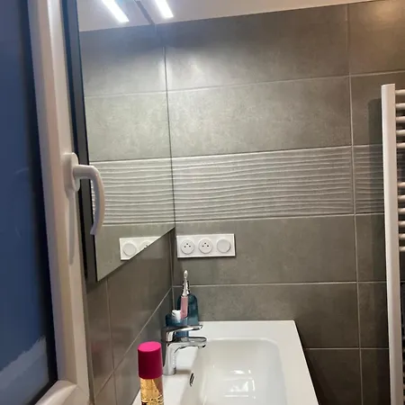 T2 Neuf Résidence U Scalu Appartamento